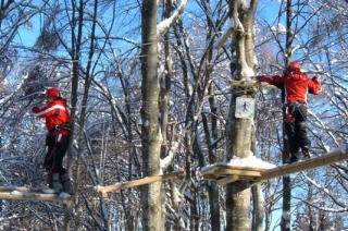 Plataformas entre hayas 